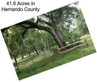 41.6 Acres in Hernando County