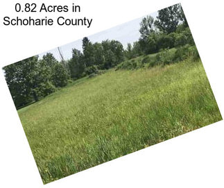 0.82 Acres in Schoharie County