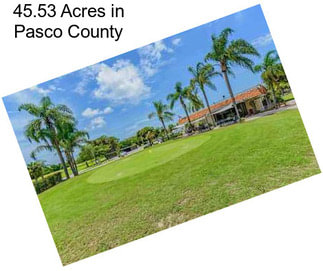 45.53 Acres in Pasco County