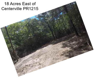 18 Acres East of Centerville PR1215