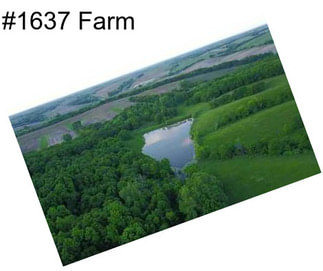 #1637 Farm