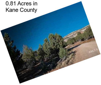 0.81 Acres in Kane County