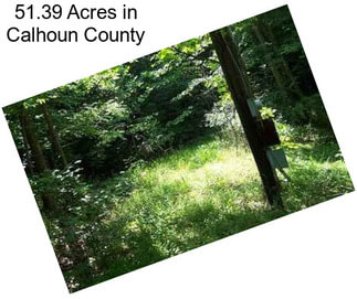 51.39 Acres in Calhoun County