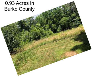 0.93 Acres in Burke County