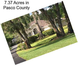 7.37 Acres in Pasco County