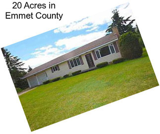 20 Acres in Emmet County