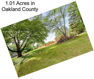 1.01 Acres in Oakland County