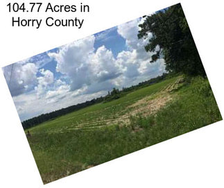 104.77 Acres in Horry County