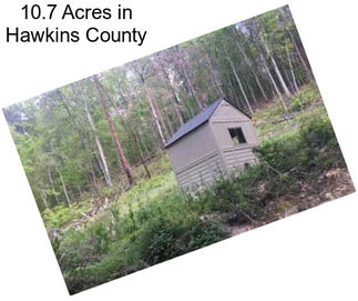 10.7 Acres in Hawkins County