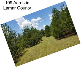 109 Acres in Lamar County