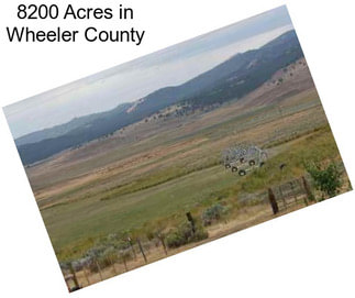 8200 Acres in Wheeler County
