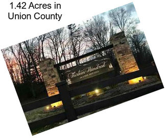 1.42 Acres in Union County