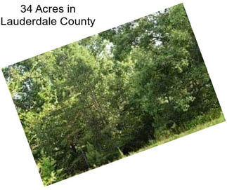 34 Acres in Lauderdale County