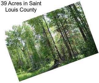 39 Acres in Saint Louis County