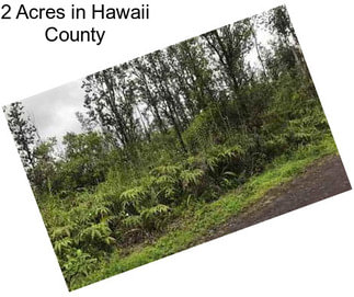 2 Acres in Hawaii County