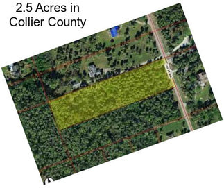 2.5 Acres in Collier County