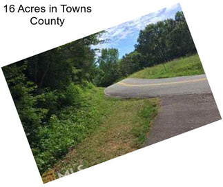 16 Acres in Towns County