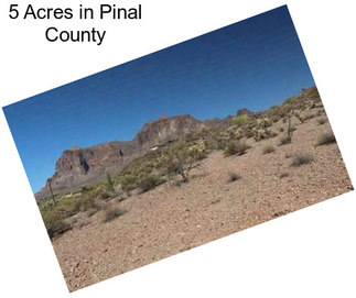 5 Acres in Pinal County