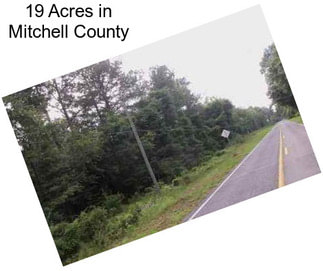 19 Acres in Mitchell County