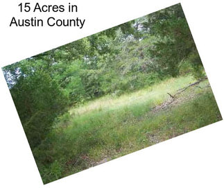 15 Acres in Austin County