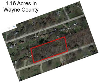 1.16 Acres in Wayne County