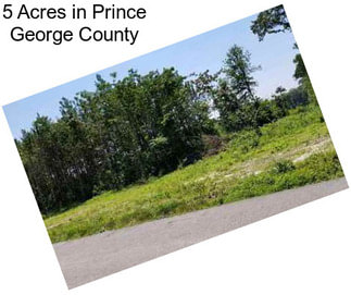 5 Acres in Prince George County