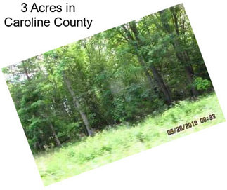3 Acres in Caroline County