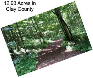 12.93 Acres in Clay County