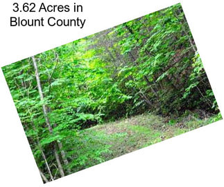 3.62 Acres in Blount County