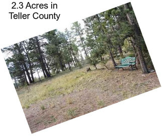 2.3 Acres in Teller County