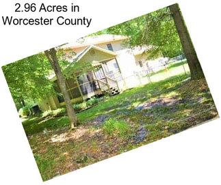 2.96 Acres in Worcester County