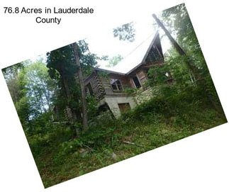 76.8 Acres in Lauderdale County