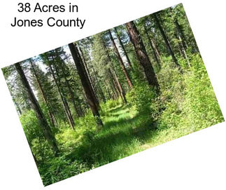 38 Acres in Jones County