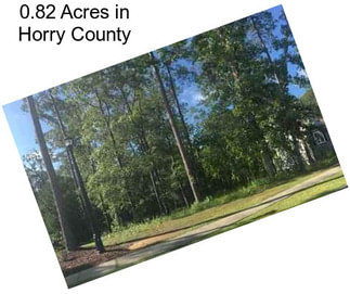 0.82 Acres in Horry County