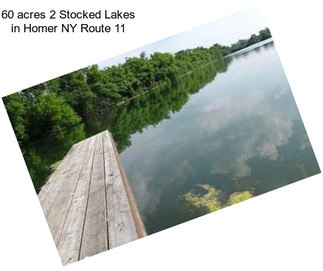 60 acres 2 Stocked Lakes in Homer NY Route 11