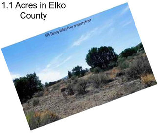 1.1 Acres in Elko County