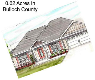 0.62 Acres in Bulloch County