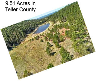 9.51 Acres in Teller County