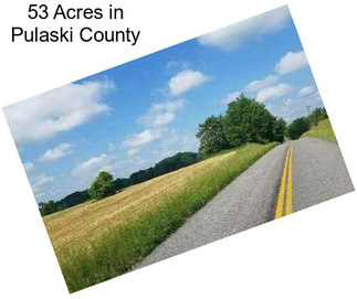 53 Acres in Pulaski County