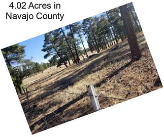 4.02 Acres in Navajo County