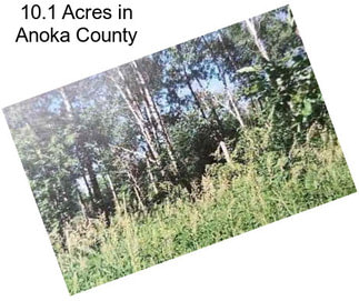 10.1 Acres in Anoka County