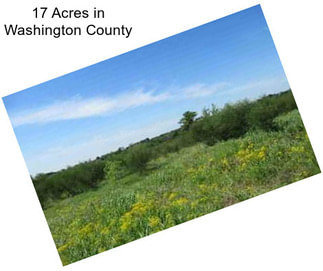 17 Acres in Washington County