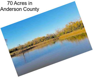 70 Acres in Anderson County