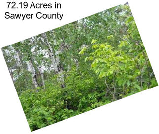 72.19 Acres in Sawyer County