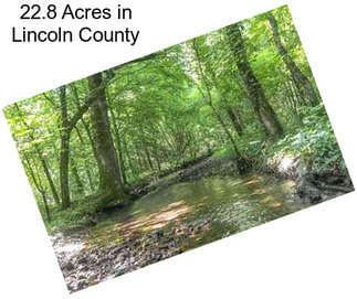 22.8 Acres in Lincoln County