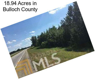 18.94 Acres in Bulloch County