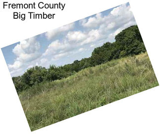 Fremont County Big Timber