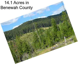 14.1 Acres in Benewah County
