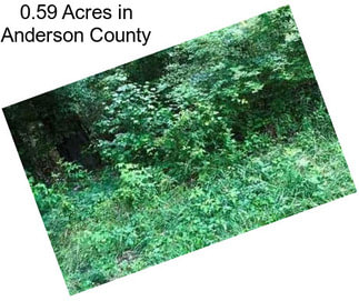 0.59 Acres in Anderson County