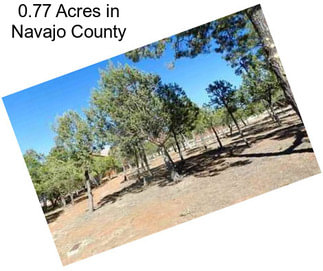 0.77 Acres in Navajo County